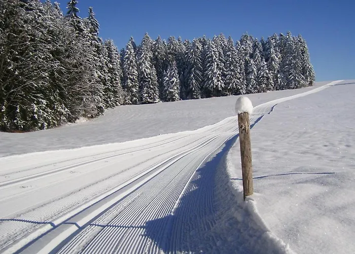 Wellnesshotel Linde Otel Sulzberg (Bregenz)